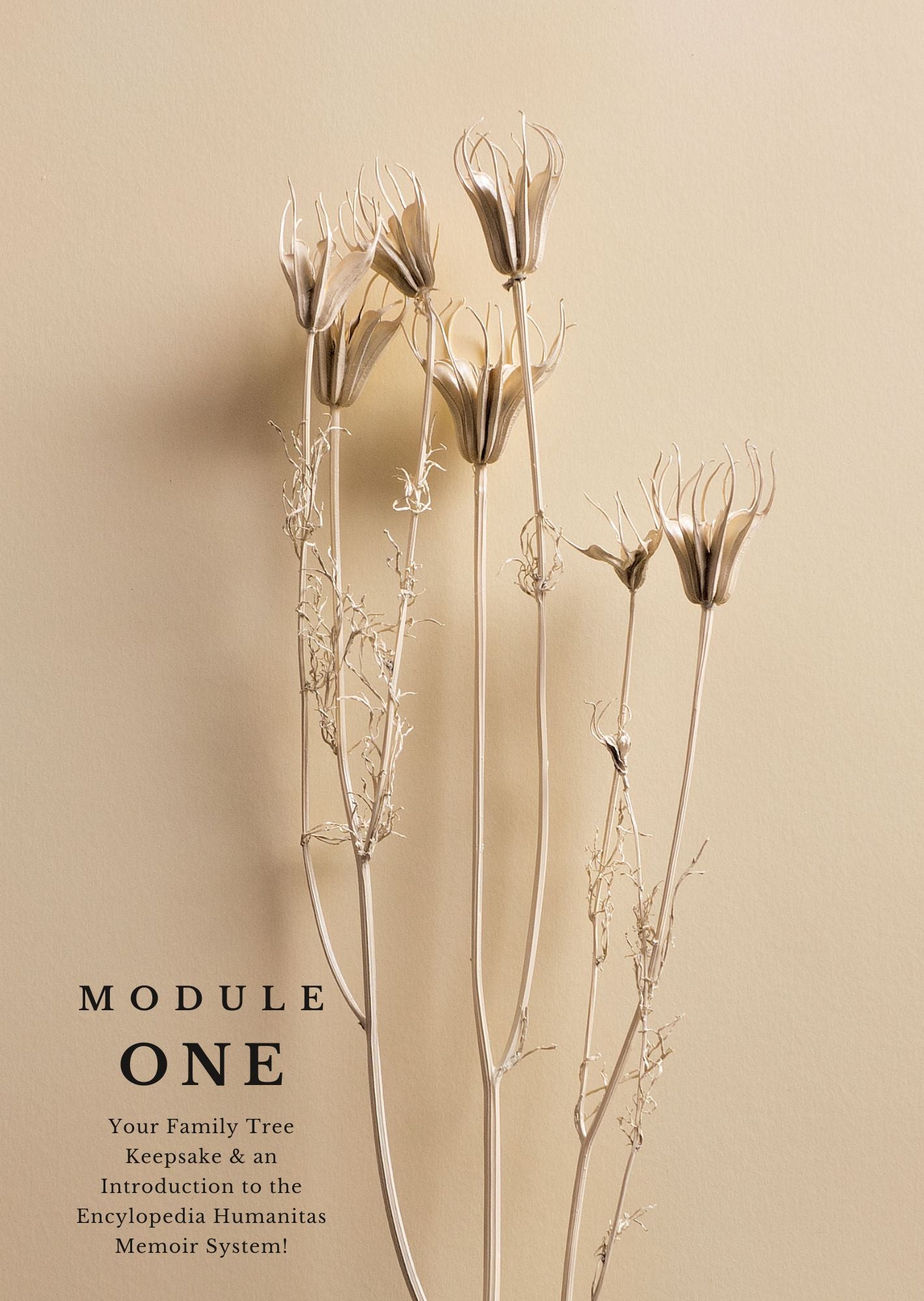 Module 1: Write Your Own Autobiography - Family Tree (Downloadable Printable)